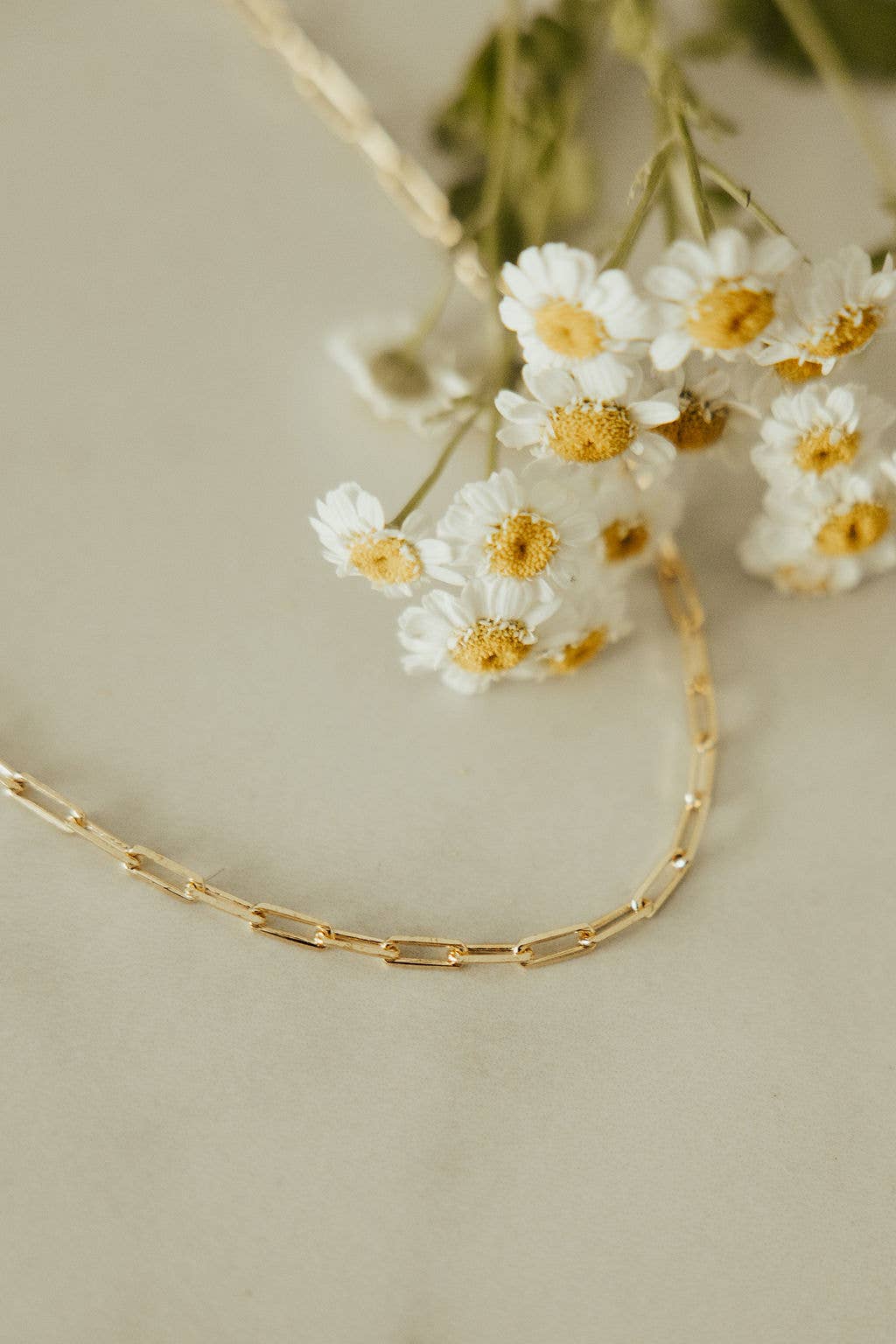 Madeline Gold Filled Paperclip Necklace zoomed view